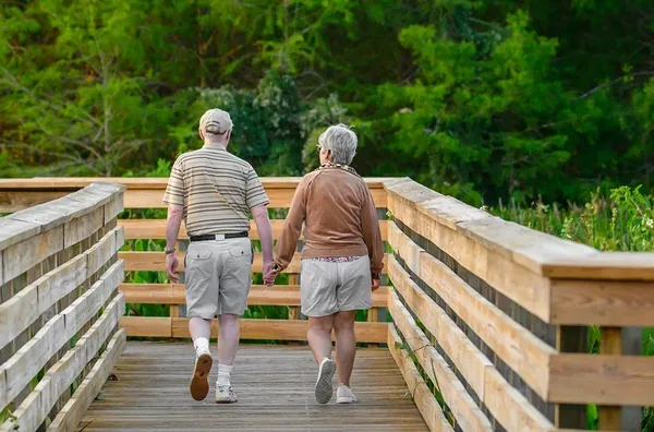 Ficsalite particuliere 2