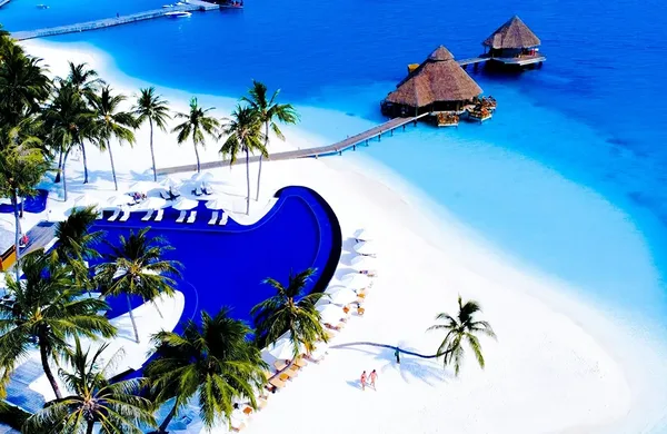 Logo paradis fiscal 0